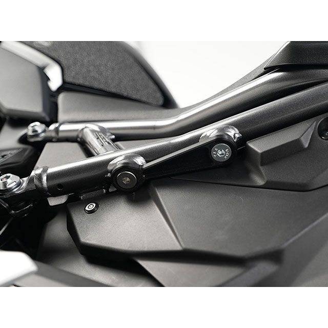 アールアンドジー GSX-8S GSX-8R リアフットプレート 働き掛ける仕かける（黒いこと） R&G