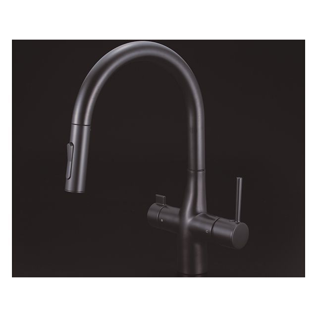 ケーブイケー KM6081SCECM5 グースカラー ビルトイン浄水（マットブラック） KVK 日用品の通販は