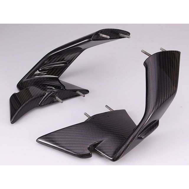 SPEEDRA S1000RR ウイングレット 左右セット ドライカーボン