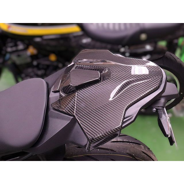 SPEEDRA M1000RR S1000RR シングルシートカウル ドライカーボン 仕様