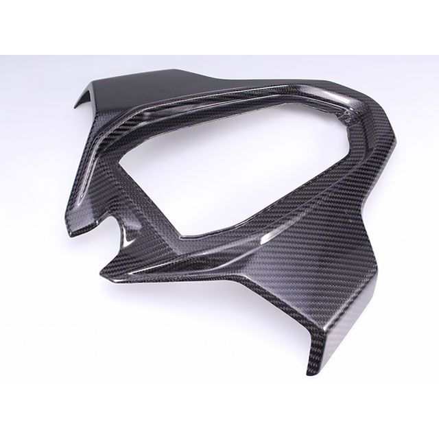 SPEEDRA S1000RR テールカウル ドライカーボン 仕様 綾織り艶あり SPEEDRA バイクの通販は