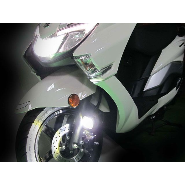 プロテック バーグマンストリート125EX 66011 FLT-S03 LEDフォグライト