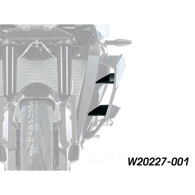 ワンダーリッヒ M1000XR カーボン インナーウイングレット 左側