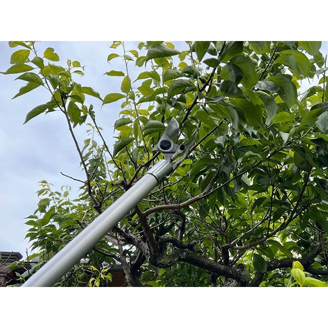 アルス コードレス電動パイプ回転式高枝鋏スゴタカ1.7m ARS_4