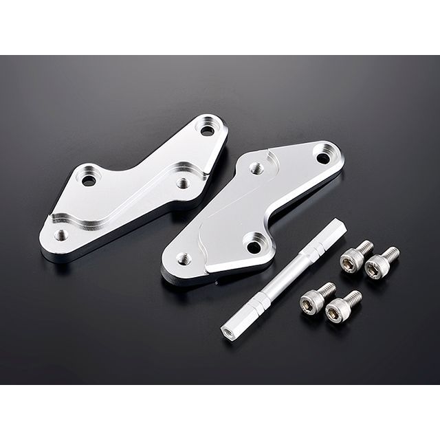 オーダーページ② GBレーシング NINJA ZX-25R NINJA ZX-4R/RR パルスカバー