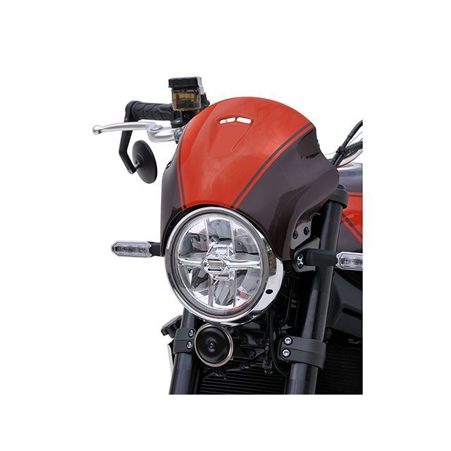 アルマックス Z900RS Z900RS 2018-2024 ノーズフェアリング カラー シルバーカーボンルック ERMAX