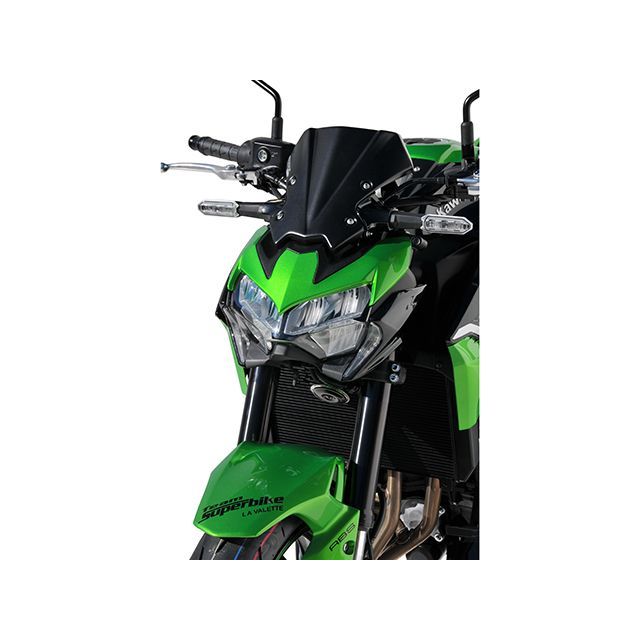 アルマックス Z900 Z900 2020-2024 ノーズフェアリング 23.5cm カラー
