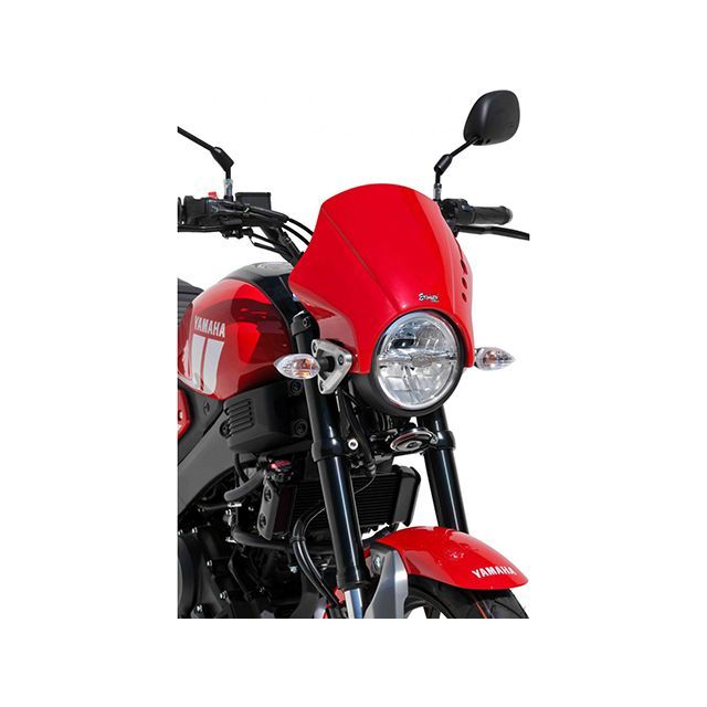 rinnです！ SPEEDRA スピードラ サイドカウルダクト タイプ：綾織り艶消し ZX-25R