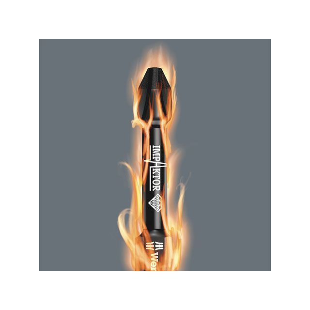 ヴェラ 057775 15本組 差込6.35mm インパクトトルクスビットセット サイズTX25 全長25mm WERA