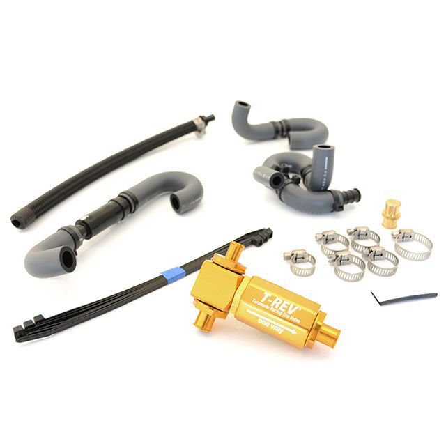 専用 テラモト CBR250RR T-REVαシステム CBR250RR 17-/20-/23-（ゴールド
