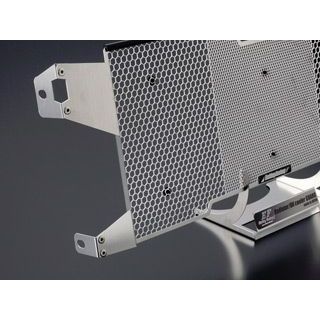 エッチングファクトリー R1200RS R1200RS用 ラジエターコアガード カラー 緑エンブレム ETCHING FACTORY_1