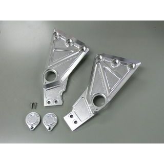 オーバーレーシング ゼファー1100 ピボットプレートカバー OVER RACING