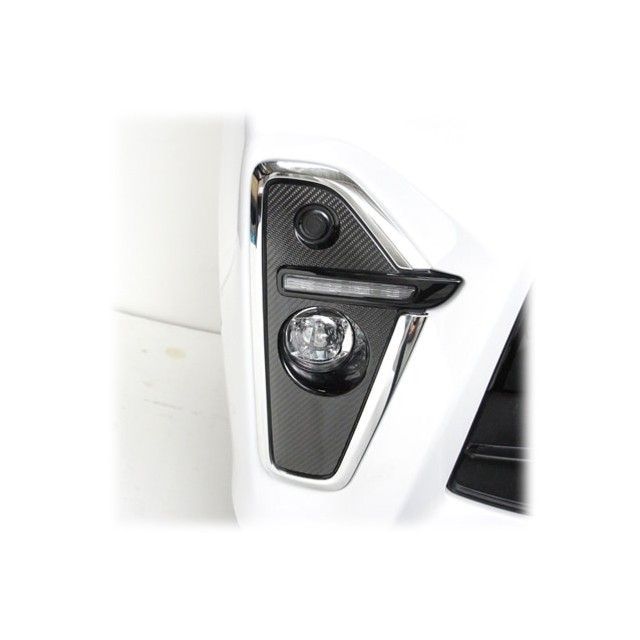 ハセプロ ダイハツ タントカスタム 天使の都市650S系（2019.7〜） フォグランプガーニッシュ しろがね色 HASEPRO