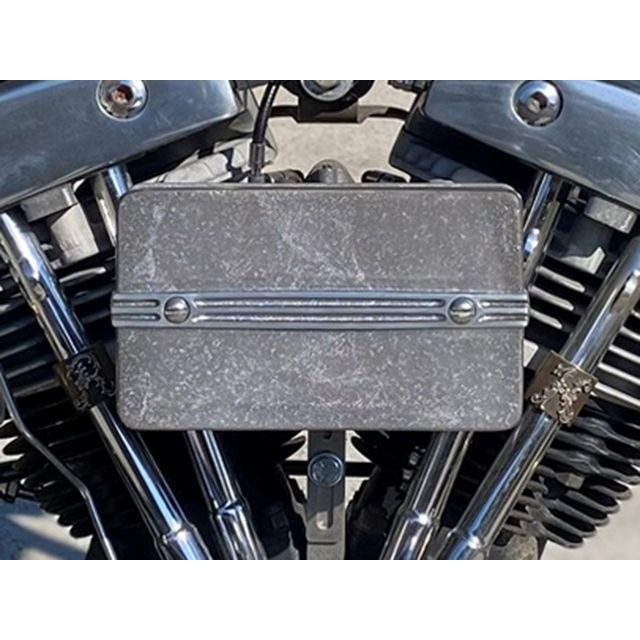 フォーク Harley-Davidson Squ-Air Trifin Assembly for S＆S Super B FORK