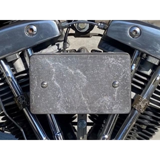 フォーク Harley-Davidson Squ-Air Plain Assembly for S＆S Super E FORK