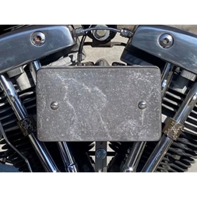 フォーク Harley-Davidson Squ-Air Plain Assembly for CV ＆ EFI FORK