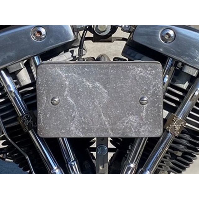フォーク Harley-Davidson Squ-Air Plain Assembly for SU FORK