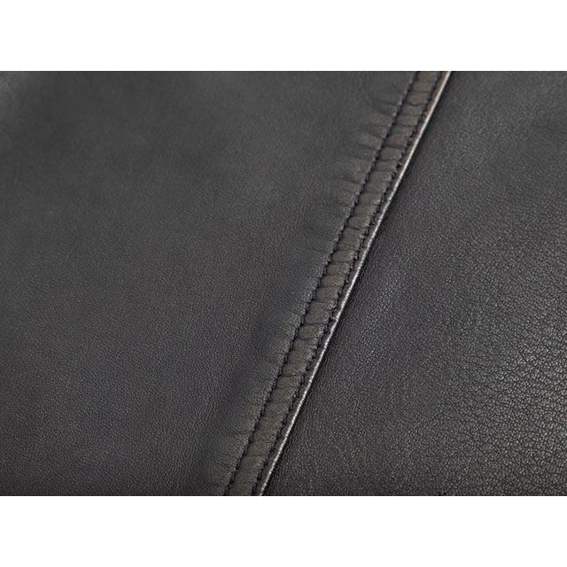 デグナー 2026春夏モデル 26SJ-4 レザージャケット（ブラック） サイズ 2XL DEGNER_9