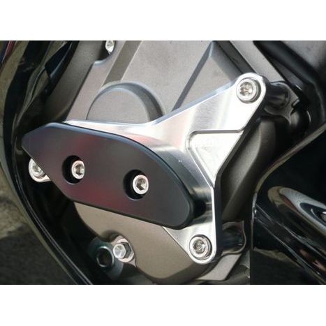 アグラス ZX-10R レーシングスライダー 3点SET 右A カラー
