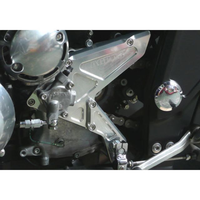 同梱 BUILD A LINE/20631403 ステン T2-TYPE (フロント) YZF-R6 05
