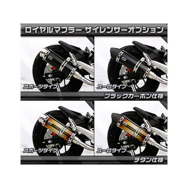 ウイルズウィン グロム/MSX125（2型） グロム/MSX125（2型）用 ロイヤルマフラー ユーロタイプ（フルエキゾースト） オプション オプシ…_6