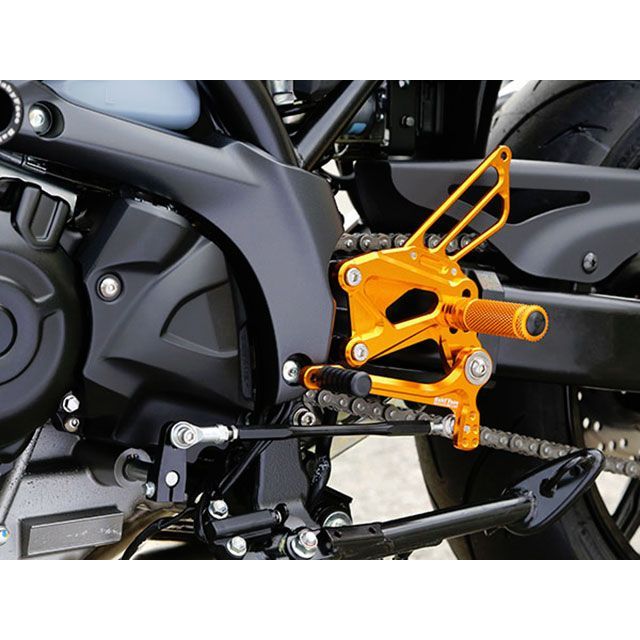 sv650 バック ステップ S2コンセプト SV650 用のアップステップ