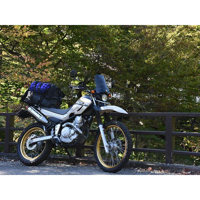 セロー250スクリーン ワールドウォークスモーク imgrc0083901985.jpg