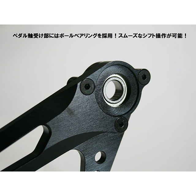 ストライカー ZX-10R ABS スペシャルステップキット（ブラック