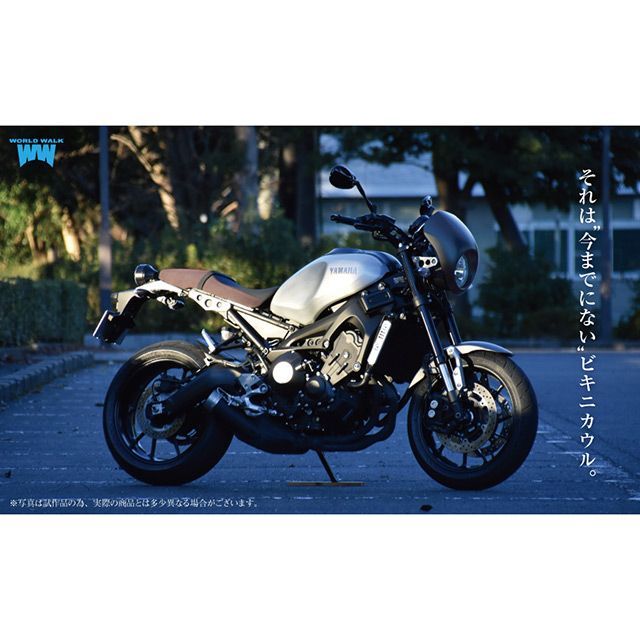 ワールドウォーク XSR900 XSR900専用スマートフォンマウントビキニカウル 内容 単品 カラー グレーイッシュブルーメタリック4 WW_4