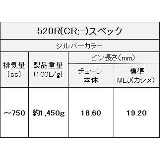 江沼チェーン 汎用 NXリングシールチェーン ThreeD 520R（CR） シルバー リンク数 108L EKチェーン_5