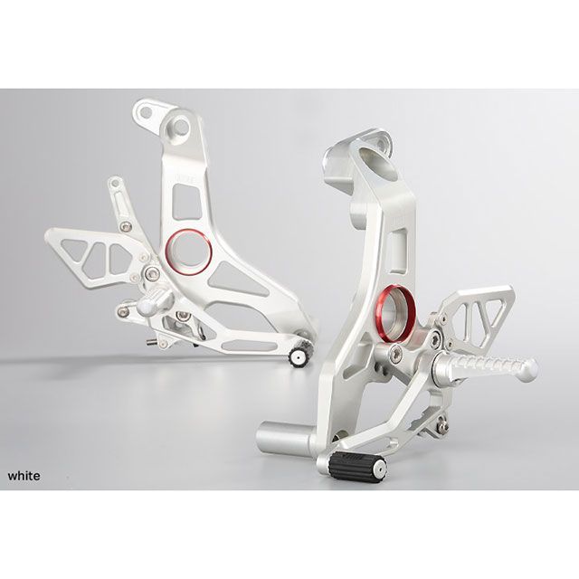 20点セット　り アエラ モンスター1200R モンスター1200R ライディングステップ