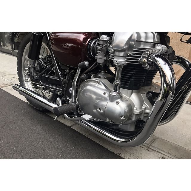 ボートラップ W650/W400 W650/W400 シガーサイレンサーキット エキパイ