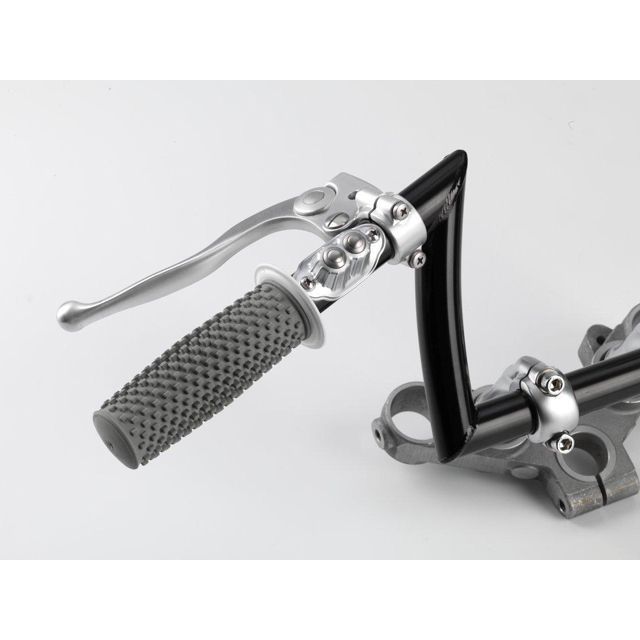 専用です カスタムテック ハーレー 2ボタンスイッチハウジング 仕様