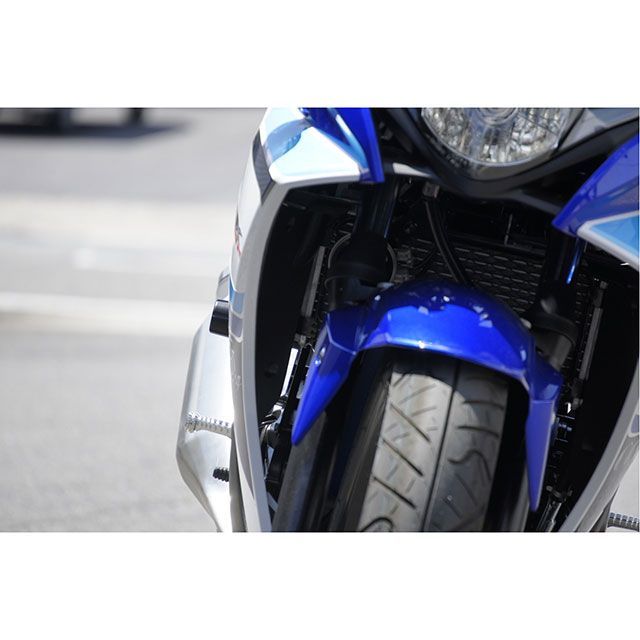 オーバーレーシング GSX250R レーシングスライダー カラー シルバー
