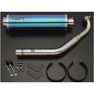 ご確認用❤️ NRマジック ライブDio/ZX/J/S プラチナX-クロス Type D NR