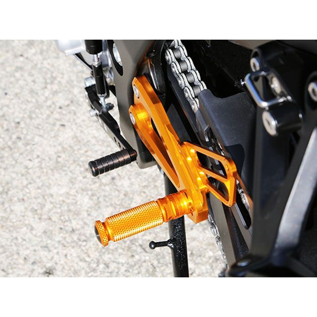 GSXR1000(17〜)STRIKER バックステップ せつなく