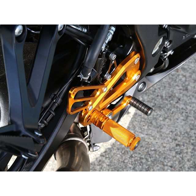 ベビーフェイス GSX-R1000 バックステップキット カラー