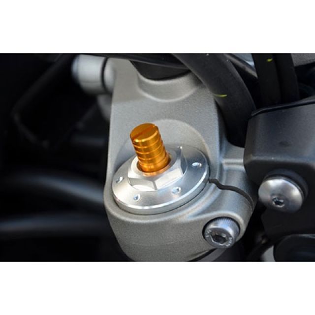 アグラス SV650 イニシャルアジャスター AGRAS バイク サスペンション