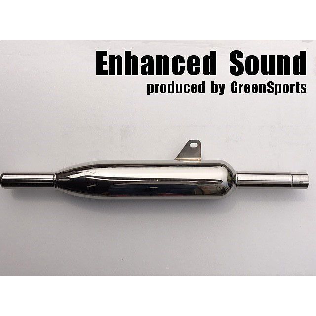 エンハンスドサウンド エストレア エストレア用トライアンフタイプ