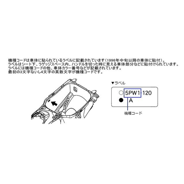 77517156_7
