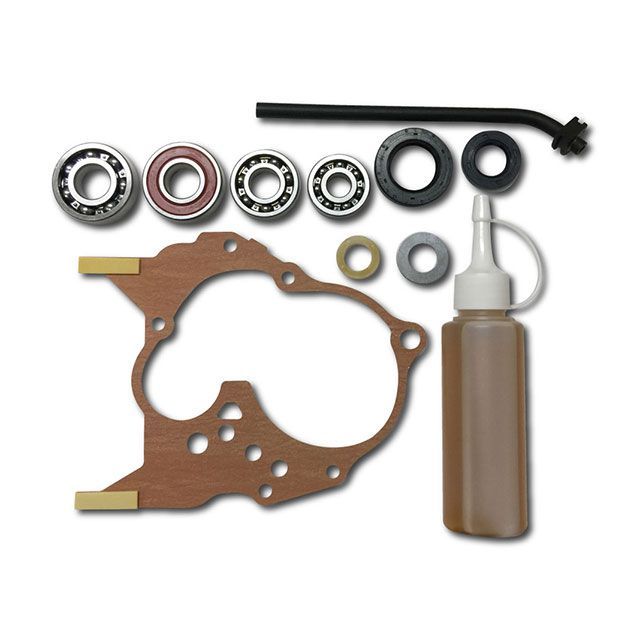 アルバ ディオチェスタ ファイナルギアベアリング交換キット