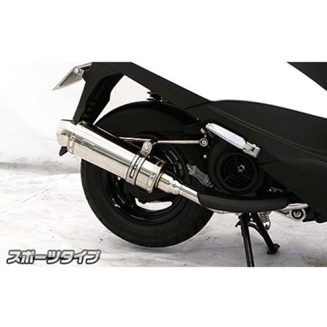 ウイルズウィン アクシスZ アクシスZ用 ロイヤルマフラー スポーツタイプ オプション オプションB＋C WirusWin