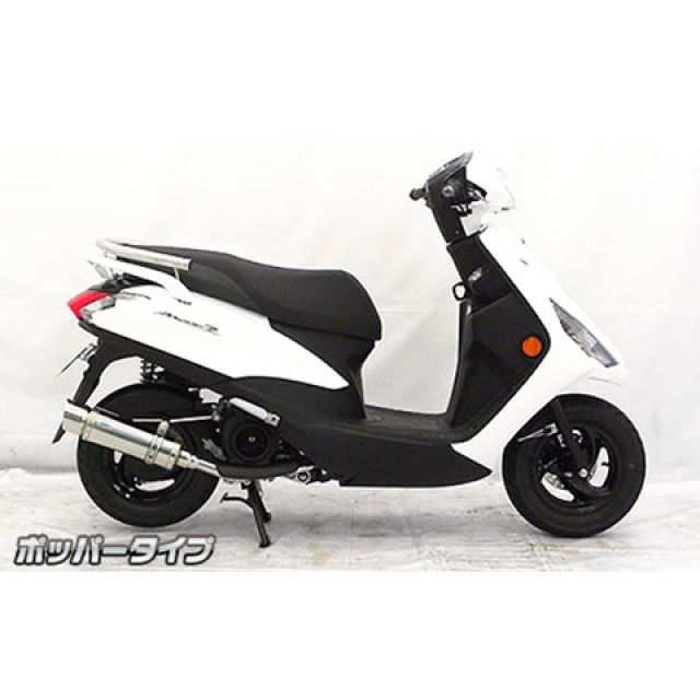 ウイルズウィン アクシスZ アクシスZ用 ロイヤルマフラー ポッパータイプ オプション オプションB＋C WirusWin バイクの通販は