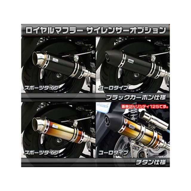 ウイルズウィン アクシスZ アクシスZ用 ロイヤルマフラー ポッパータイプ オプション オプションB＋C WirusWin バイクの通販は