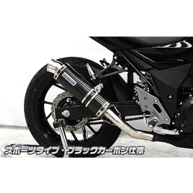 専用ページ　新品Lサイズ ウイルズウィン GSX250R GSX250R用 スリップオンマフラー