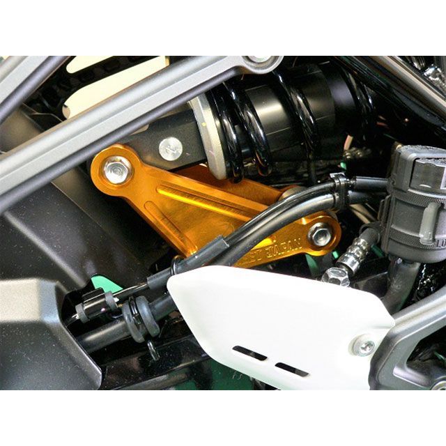 ビートジャパン Z900/RS ジュラルミン サスペンションプレートキット カラー シルバー BEET_1