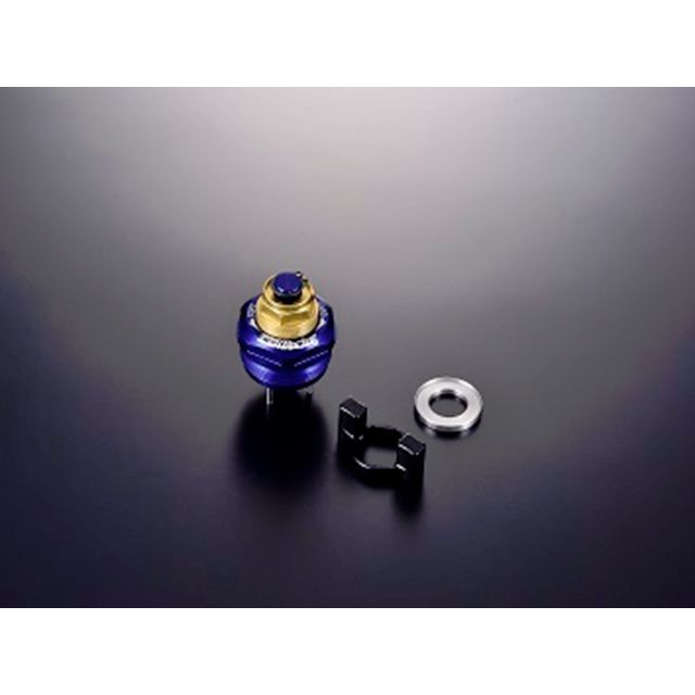 アブレボセット ツルノテクニカルサービス CBR250RR フォークイニシャル