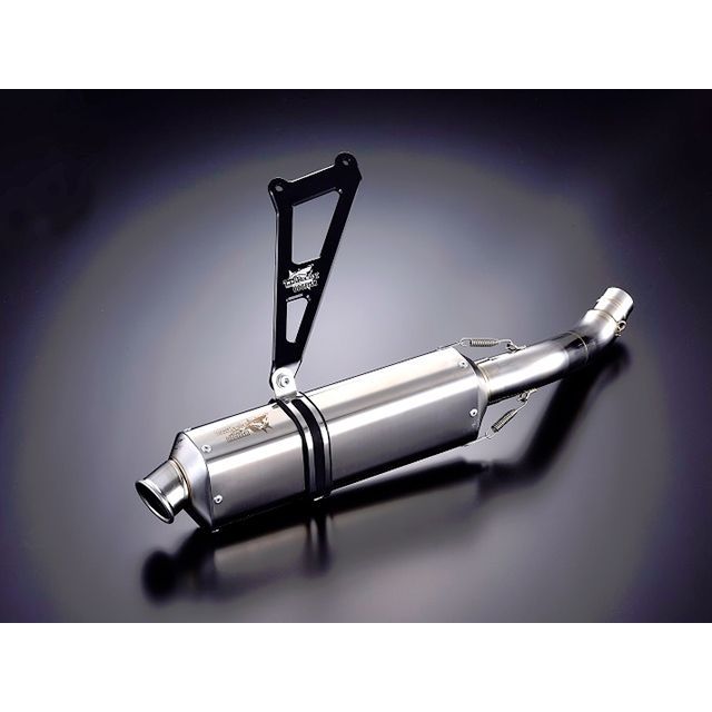 D.I.D ZVM-Xシリーズ シールチェーン カワサキ KLE500 500cc 2007年