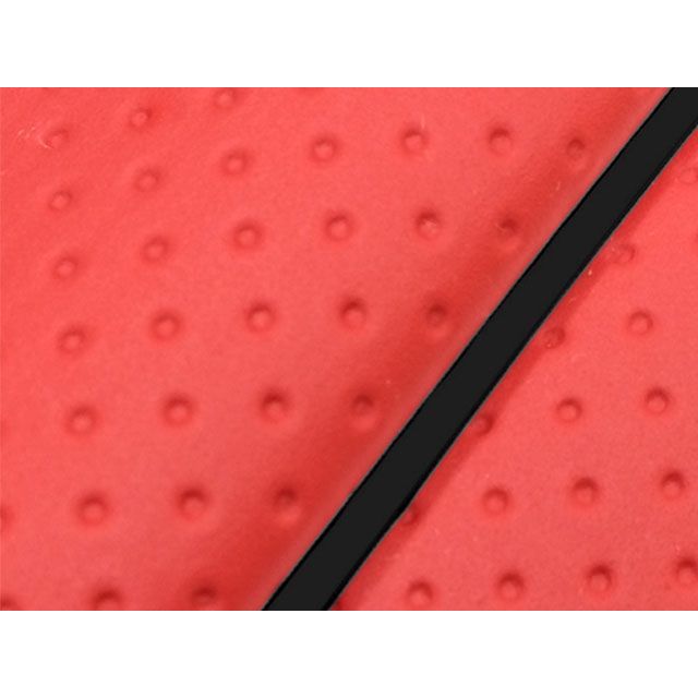 専用① Motorsport Auto - The Z Store - Eibach Progressive Spring Kit, 84