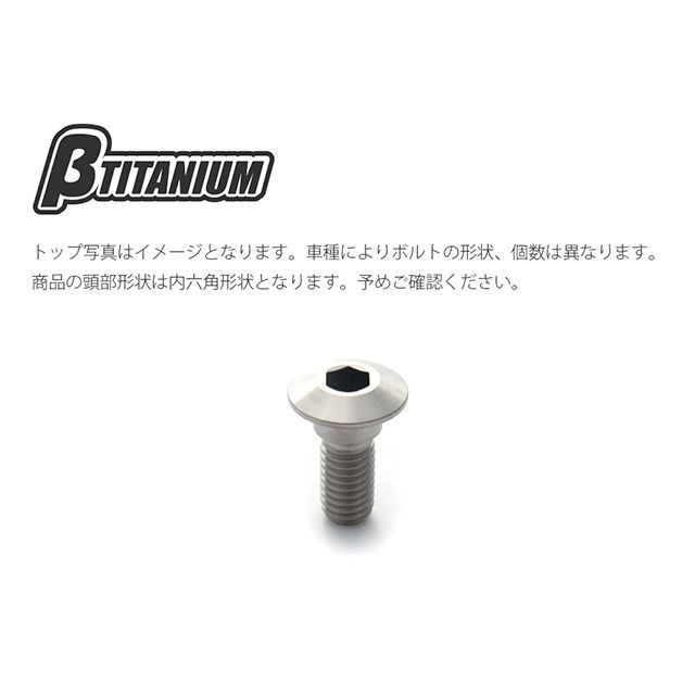 ご確認用 ベータチタニウム リアブレーキディスクローターボルトキット
